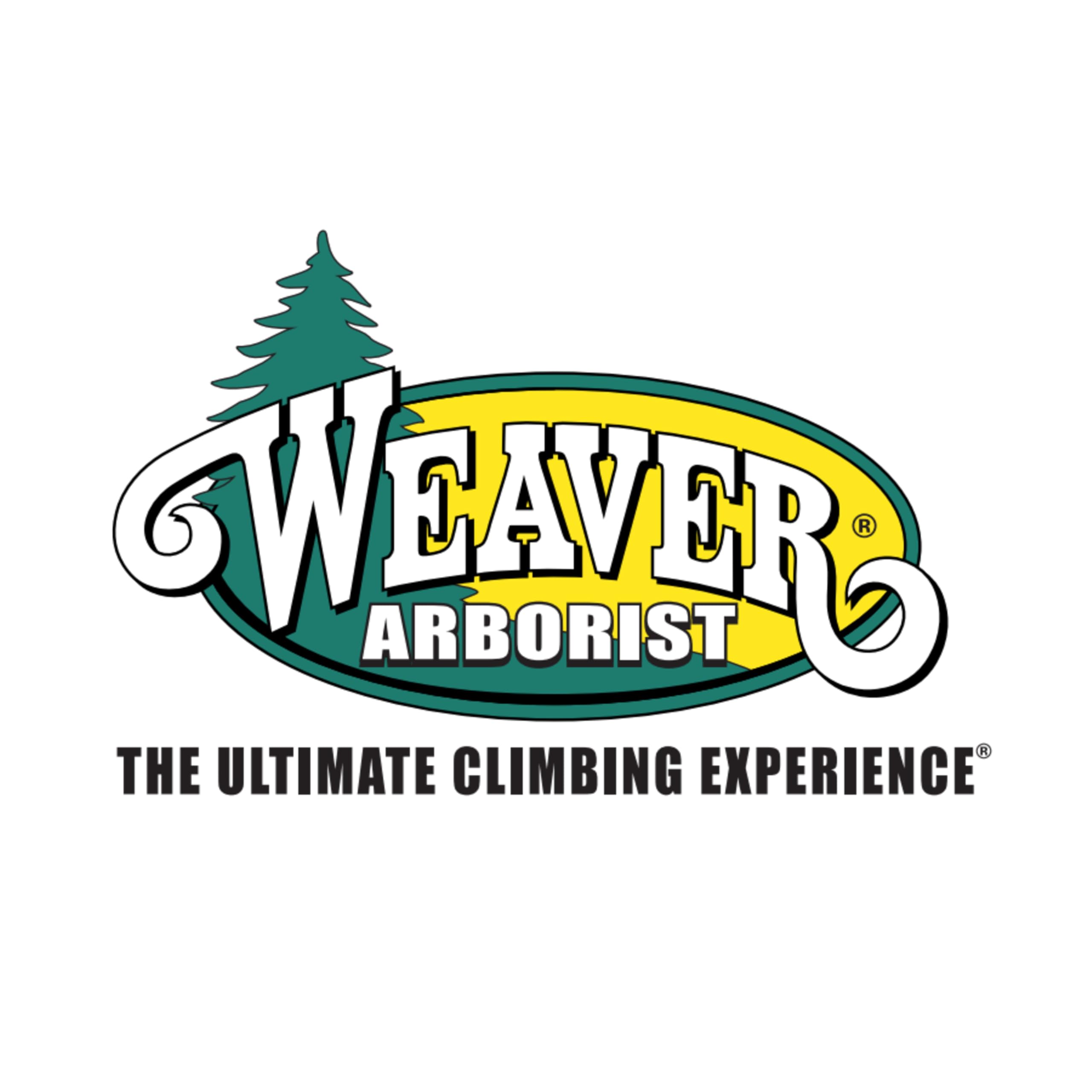 Weaver Leather WLC 530 1 Floating Dee Dog Collar with Padded Nylon Leg Straps - Adjustable Training Harness for Medium to Large Dogs, Perfect for Walking, Hiking & Outdoor Adventures