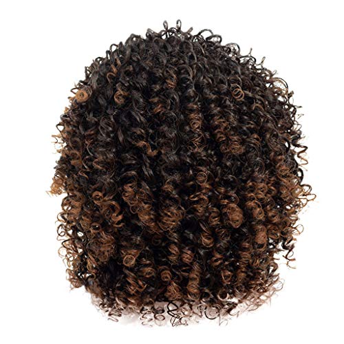 Afro Curly Synthetic Bangs Wig with Gray Highlights - Short Dark Wig for Women | Perfect for Cosplay, Halloween, and Daily Fashion