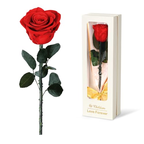 Preserved Red Rose