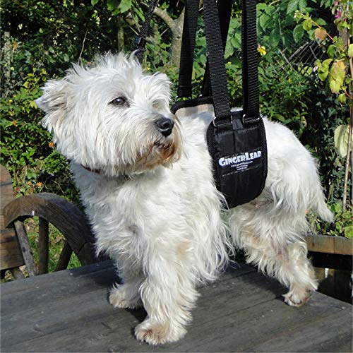 Premium Dog Sling Support Harness for Small to Medium Dogs (20-50 lbs) - Padded Rear Lifting Aid with Leash Attachment - Ideal for Barrel-Chested Breeds Like Boxers & Bullies - Made in USA - Perfect for Elderly Dogs, Post-Surgery Recovery & Mobility Assistance