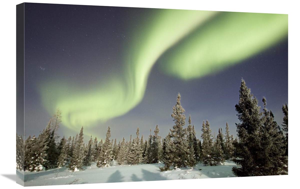 20 x 30 Inch Northern Lights Aurora Borealis Art Print - Stunning Boreal Forest Landscape Wall Decor by Matthias Breiter | Perfect for Living Room, Bedroom & Office