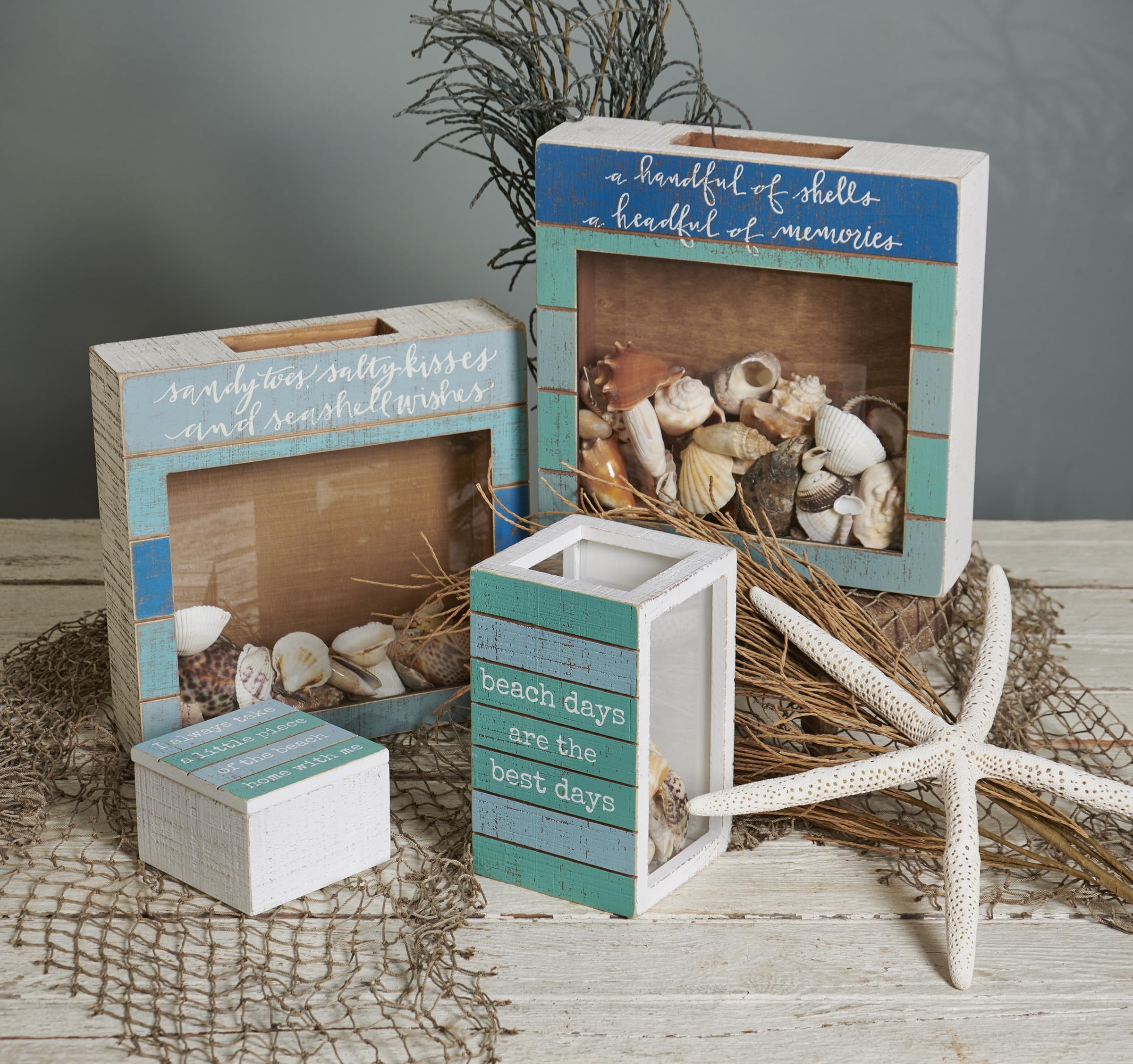Primitives by Kathy Seashell Holder - Coastal Beach Decor, Glass Display Jar for Shells, Nautical Treasure Box - Perfect for Bathroom, Bedroom & Beach House Decor