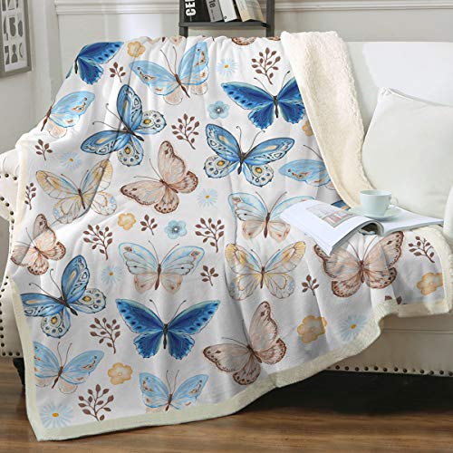 Colorful Butterflies