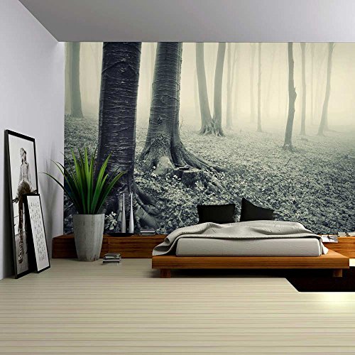 Mysterious Forest-2