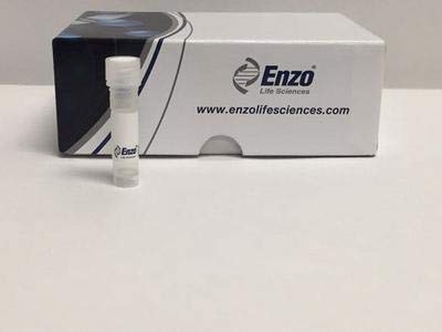 Recombinant Mouse Leptin (1 mg) - High Purity Protein for Obesity & Metabolic Research - Lab Use by Enzo Life Sciences