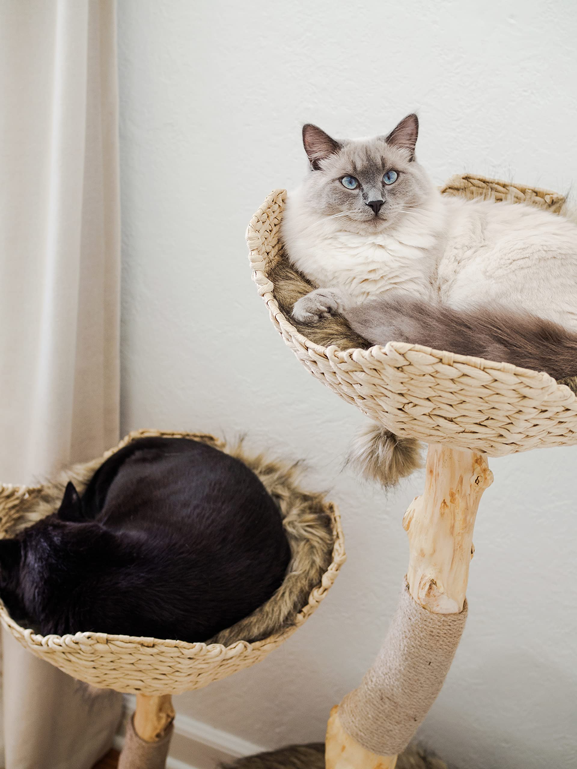 Premium MAU Modern Cat Tree Tower for Large Cats - Natural Wood Cat Climbing Structure with Scratching Posts & Condo - Perfect Gift for Cat Lovers - Ideal for Indoor Play & Relaxation Spaces