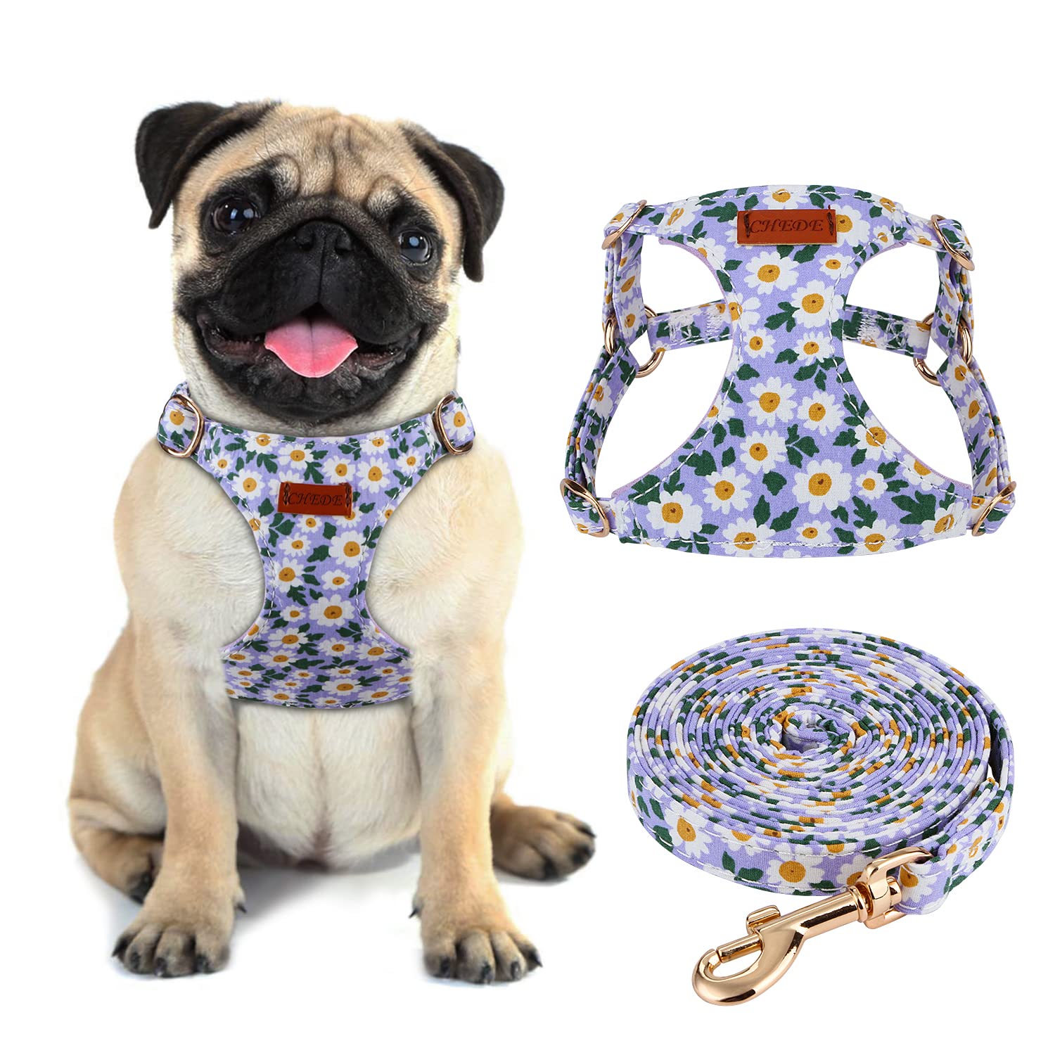 No Pull Floral Dog Harness - Lightweight Adjustable Pet Harness with Leash Set for Small & Medium Dogs | Soft Comfortable Puppy Vest | Perfect for Walking, Training & Outdoor Adventures (M, Purple Daisy)