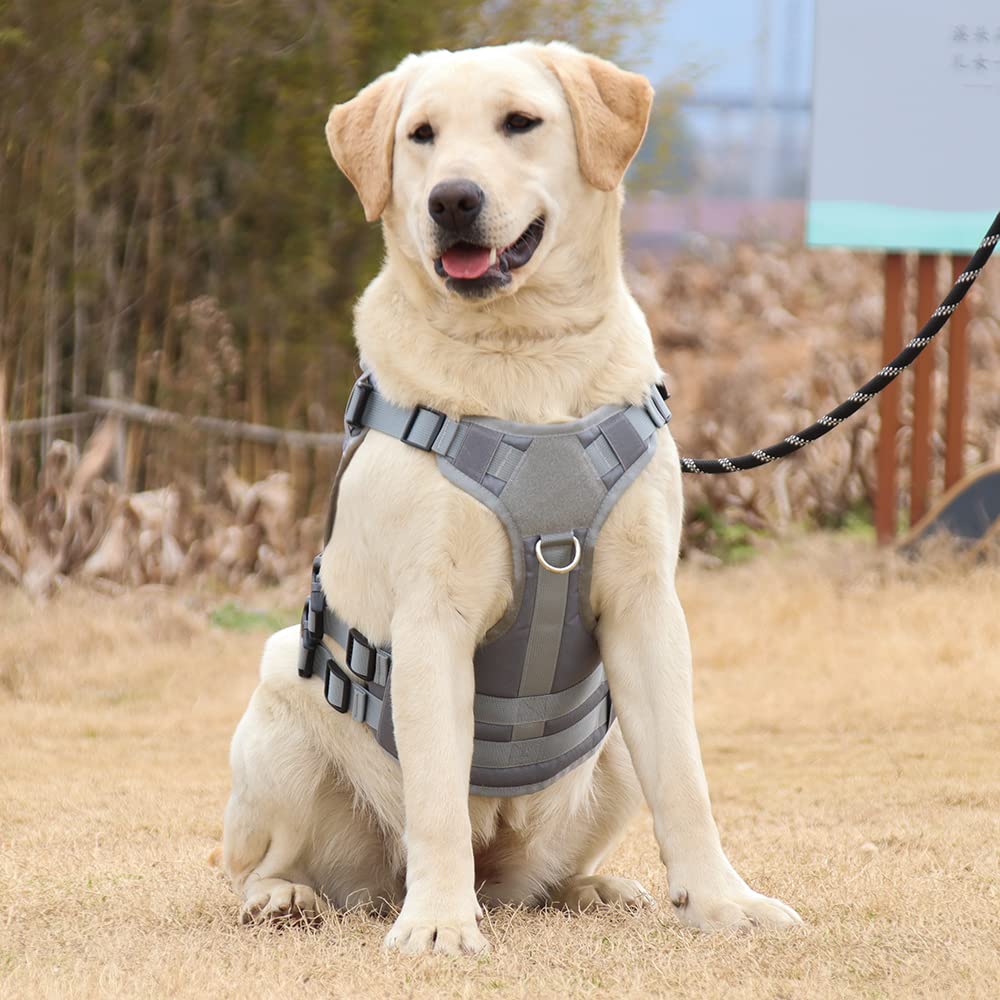 Tactical Dog Harness No Pull - Military Service Vest with MOLLE Panel & Handle for Large Medium Dogs - Perfect for Hiking, Training, Hunting & Walking (Size M, Gray) - Durable Outdoor Adventure Gear for Active Dogs