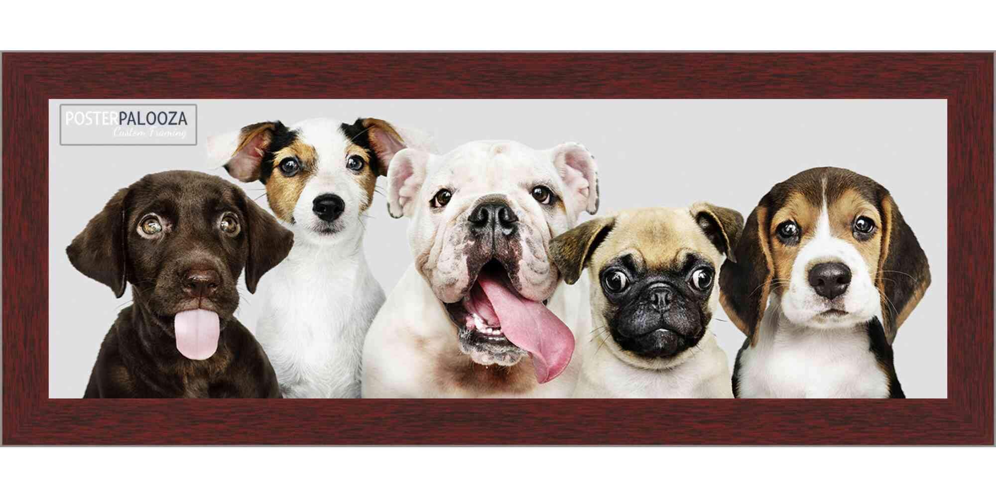 12x48 Modern Minimalist Brown Wood Picture Frame - Solid Wood Panoramic Poster Frame with UV Acrylic, Foam Backing & Hanging Hardware - Perfect for Wall Art, Home Decor & Office Display