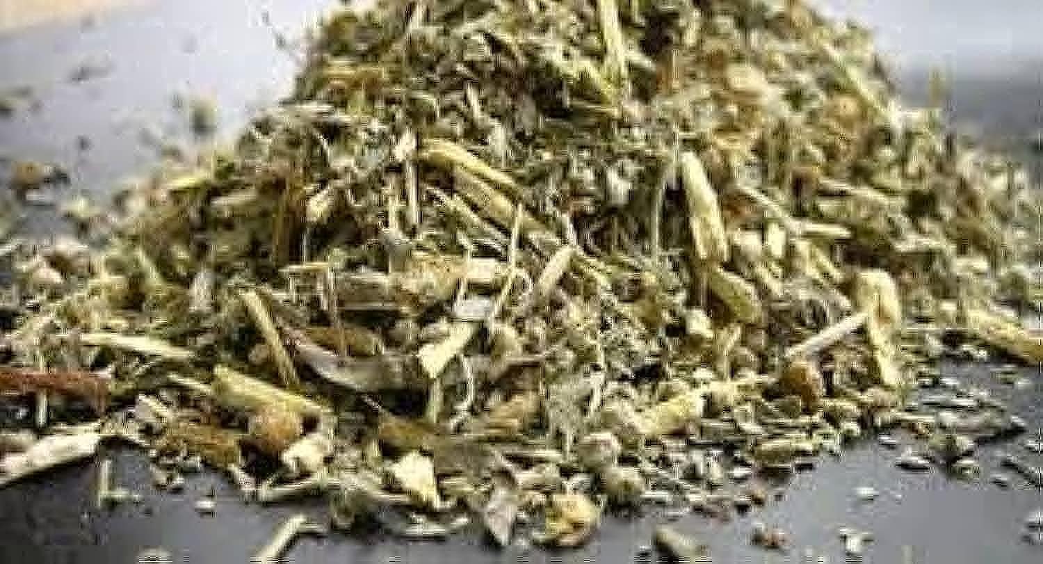 Organic Wormwood Bulk Herbs - Premium Quality Dried Mugwort for Tea, Aromatherapy & Natural Remedies