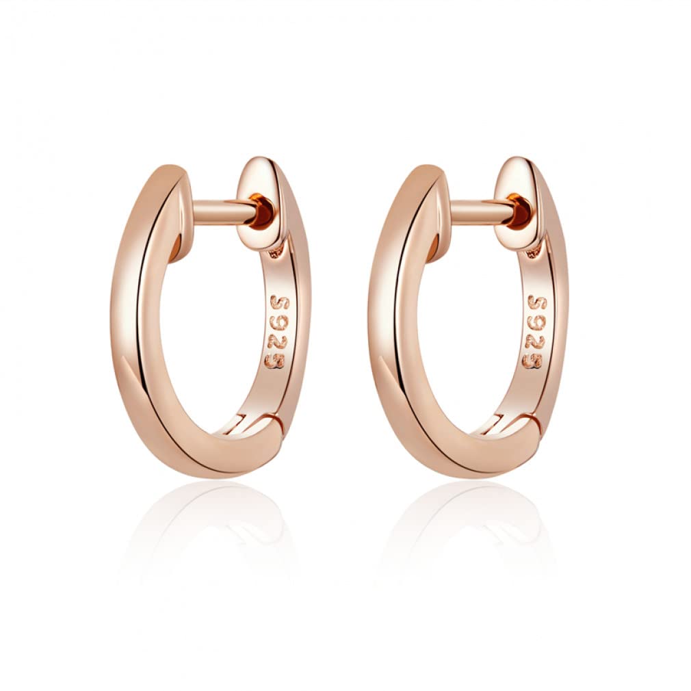 925 Sterling Silver Earrings for Women - Hypoallergenic Gold Plated Hoop Earrings | Perfect for Parties, Weddings & Everyday Wear