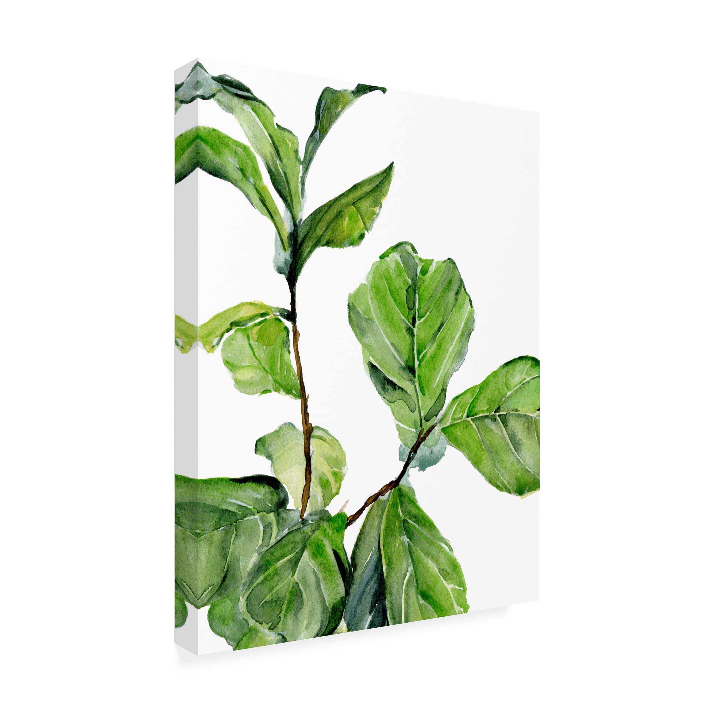 Trademark Fine Art 'Fiddle Fig II' Canvas Wall Art by Jennifer Paxton Parker - Modern Botanical Painting for Living Room, Bedroom & Office Decor