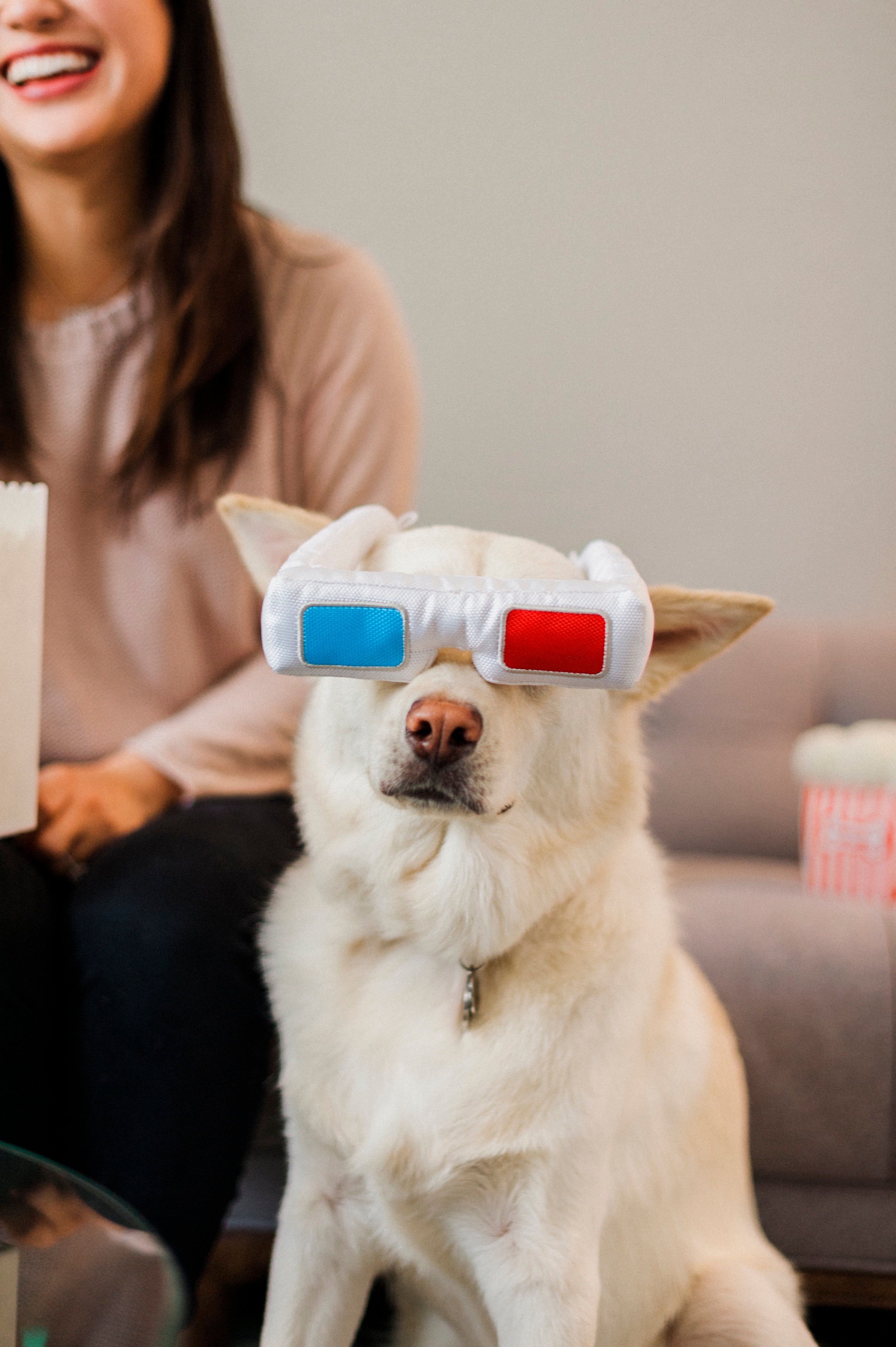 Hollywoof™ 3D Movie Glasses for Dogs - Fun Pet Toy for Movie Nights & Playtime | Perfect for Dog Costumes, Parties & Photo Shoots