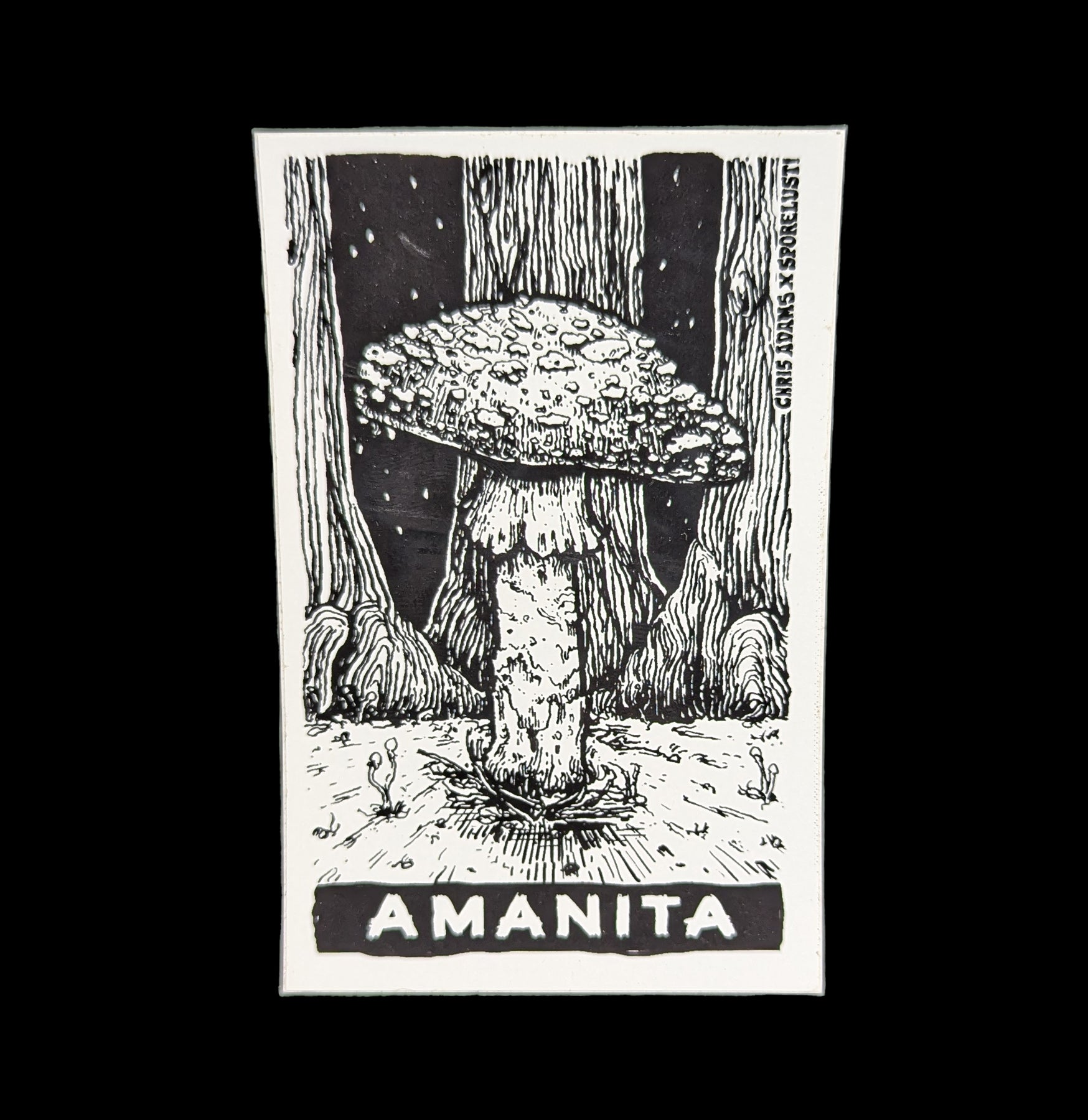 Amanita Mushroom Sticker - Waterproof Vinyl Decal for Laptops, Cars & DIY Crafts - Perfect for Nature Lovers & Mushroom Enthusiasts