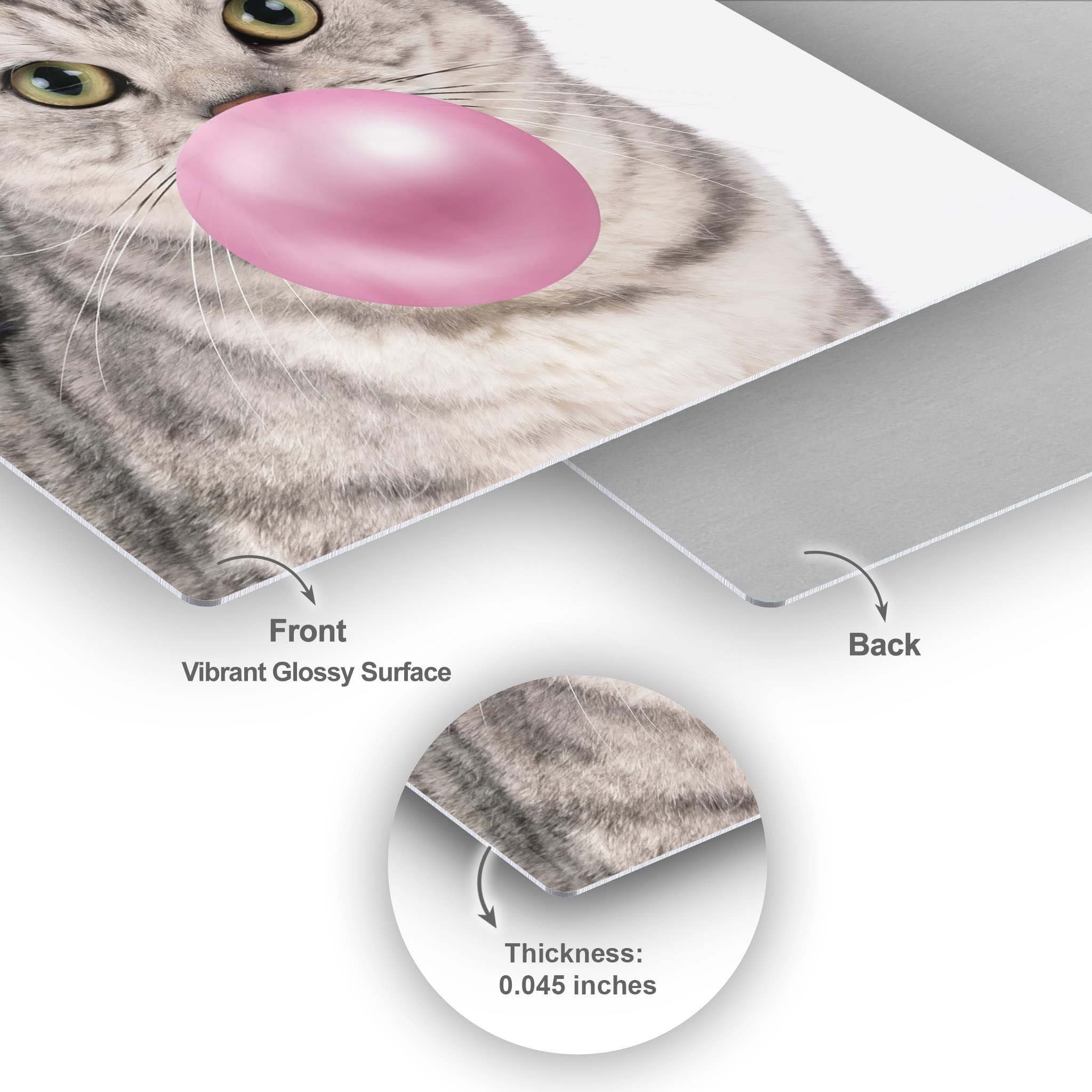 Brazilian Shorthair Cat Chewing Bubble Gum Metal Wall Art - 40x30 Inch Pet Lover Gift for Office, Living Room, Bedroom & Nursery Decor | Unique Animal Portrait Print for Cat Enthusiasts