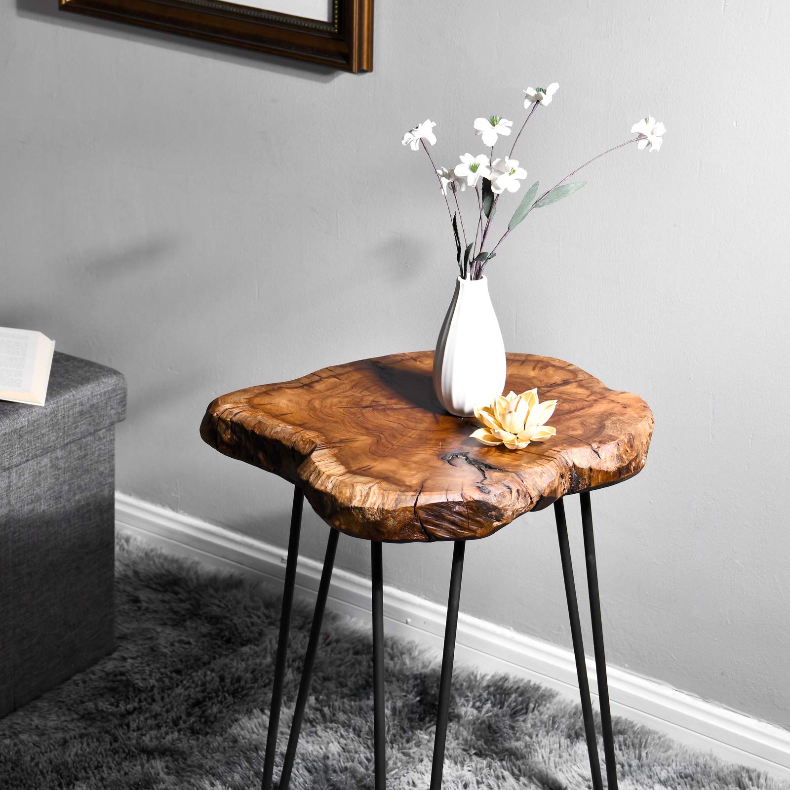 WELLAND Rustic Jujube Wood End Table, Side Table, Coffee Table - Unique Jujube Plus Design for Living Room, Bedroom & Patio Furniture Decor