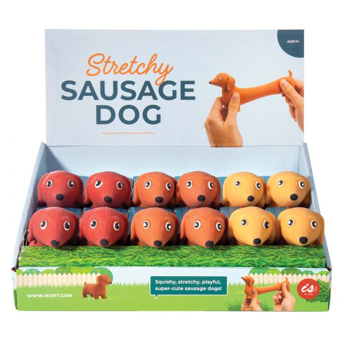 Stretchy Sausage Dog Sensory Toy for Kids - Chewable Stress Relief & Tactile Learning - Perfect for Autism, ADHD, Anxiety Relief & Classroom Fidget Toys