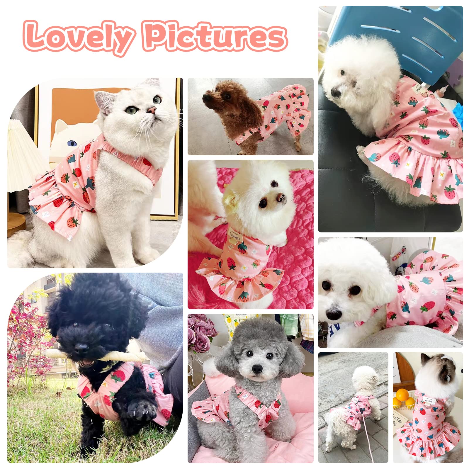 Princess Dog Dress Harness and Leash Set - Cute Soft Fruit Print Puppy Clothes for Small Dogs & Cats (Chihuahua, Yorkie, Shih Tzu) - Pink Strawberry XL - Perfect for Birthday Parties, Photo Shoots & Daily Walks