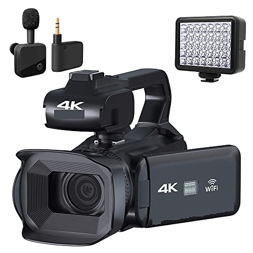 Mic and Light