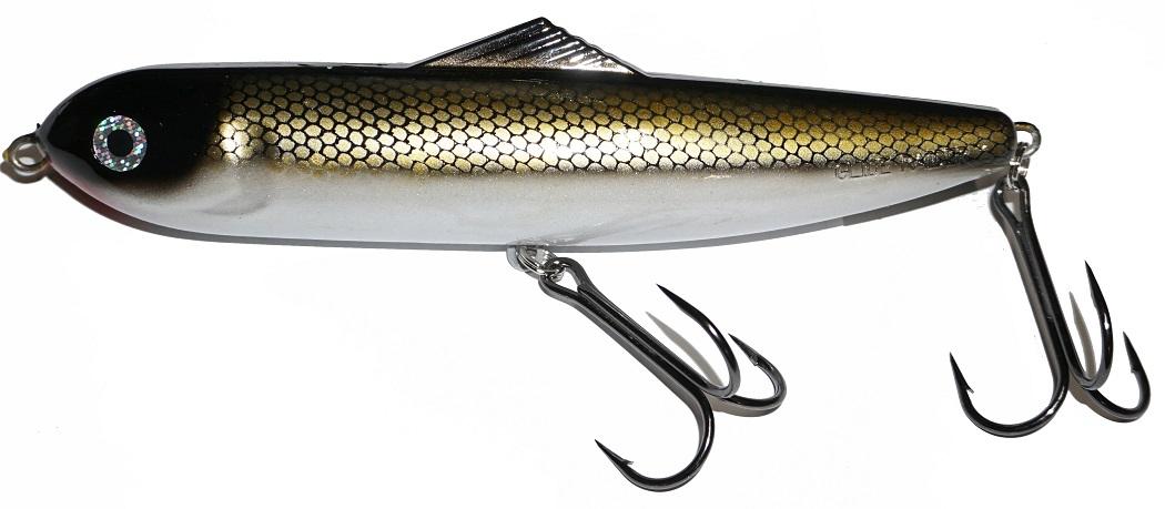 tenn shad