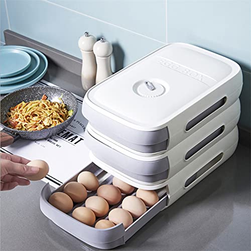 Plastic Egg Storage Box with Lid - Kitchen & Fridge Organizer for Eggs (White)