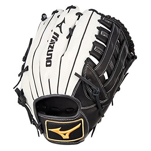 White-Black Dual H Web