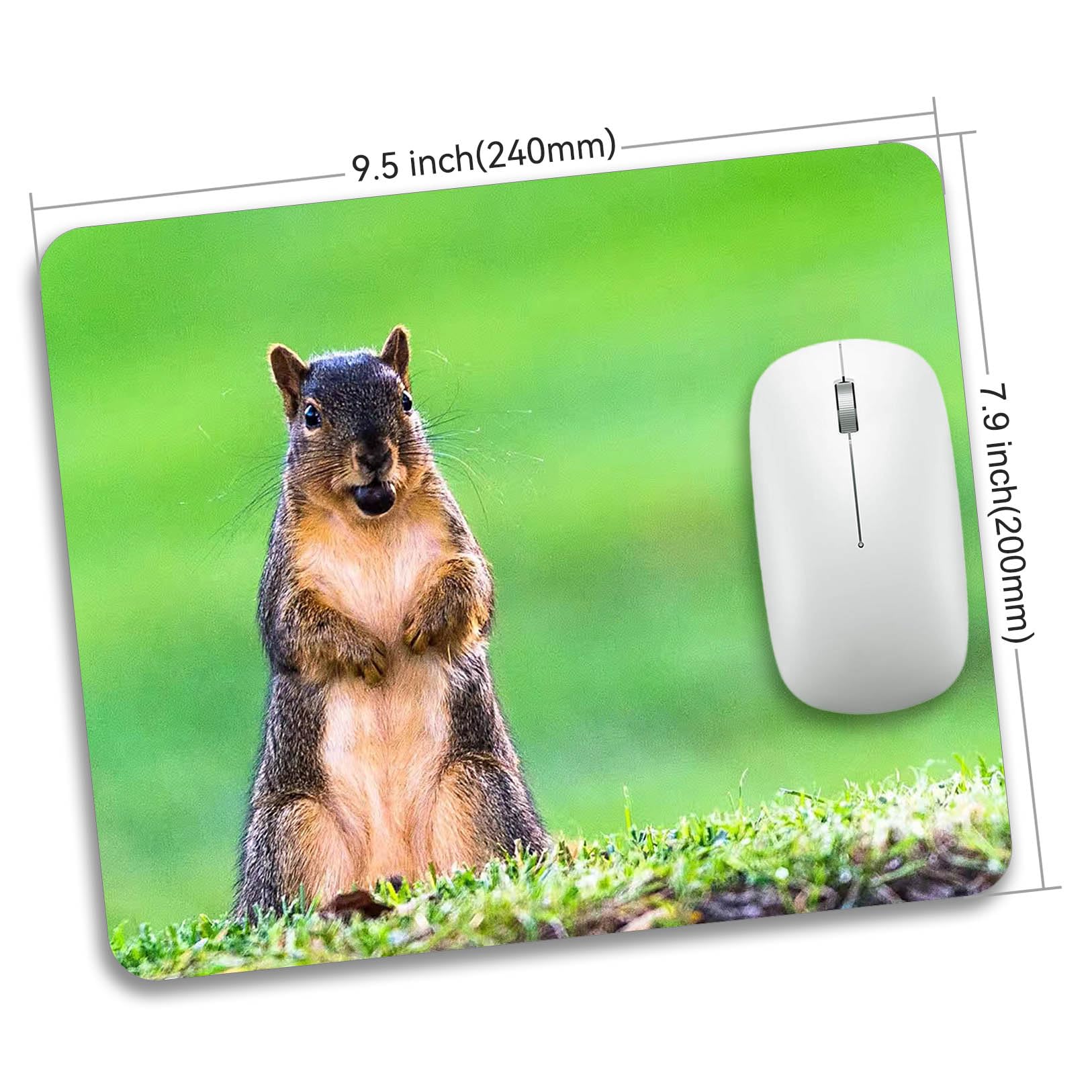 Cute Animal Mouse Pad - Soft Non-Slip Rectangle Mouse Mat for Computer & Laptop - Perfect for Home Office & Gaming Setup