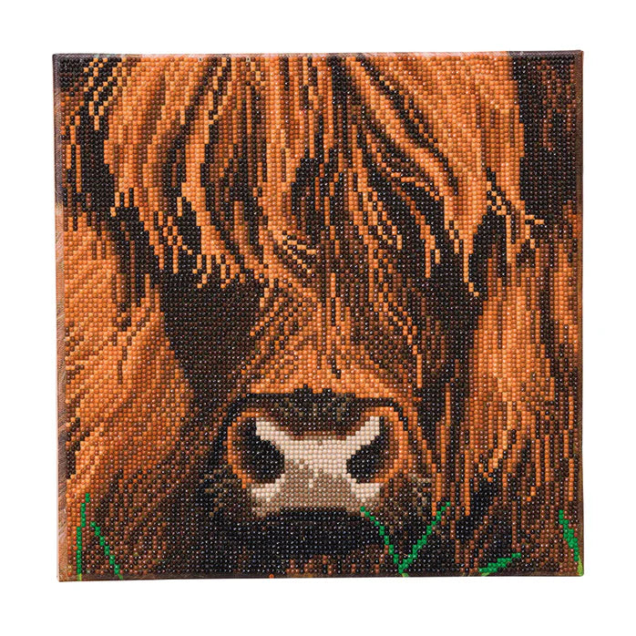 Highland Cow Crystal Art Kit - Medium Size DIY Diamond Painting for Adults - Home Decor & Wall Art Gift for Cow Lovers - Perfect for Stress Relief & Creative Relaxation