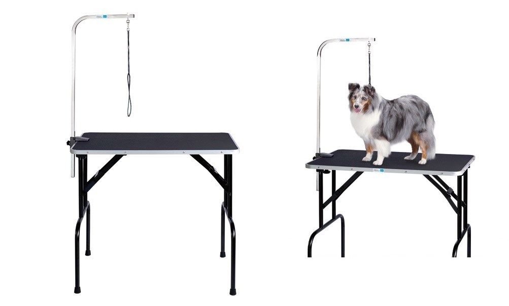 Sturdy Folding Grooming Table with Arm & Loop - 48