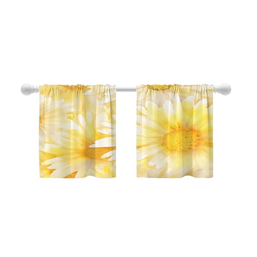 Yellow1 Flowers Petals Yellow03