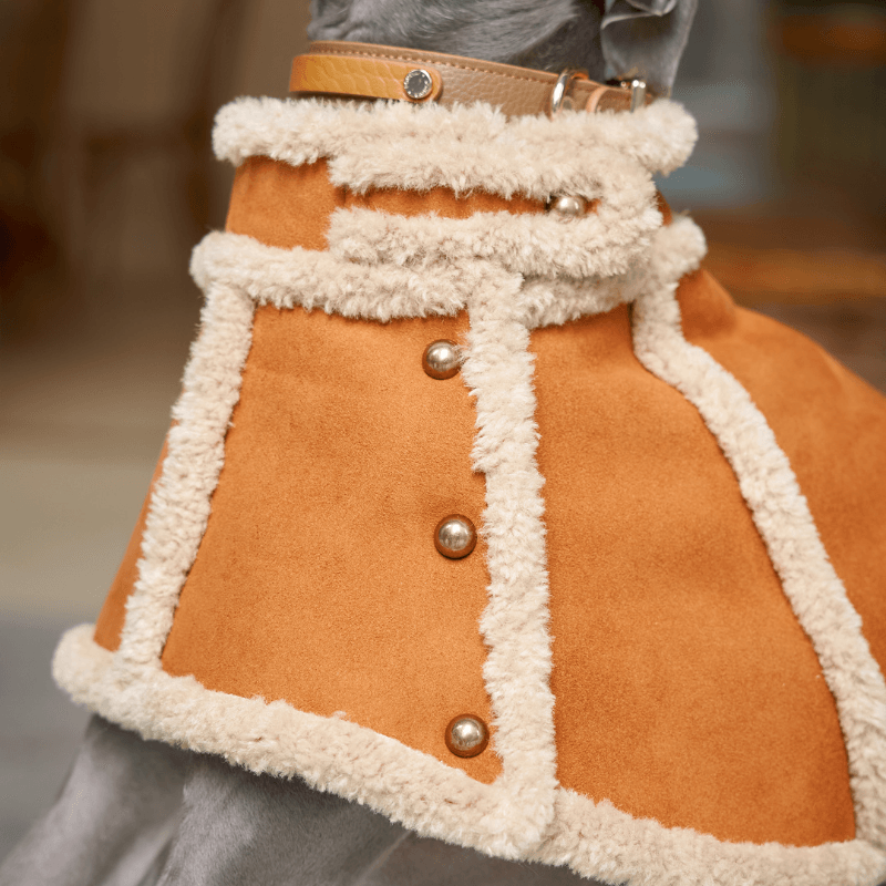Luxury Balmoral Teddy Coat for Women - Soft & Warm Winter Outerwear - Perfect for Casual Outings, Office Wear & Cold Weather Fashion