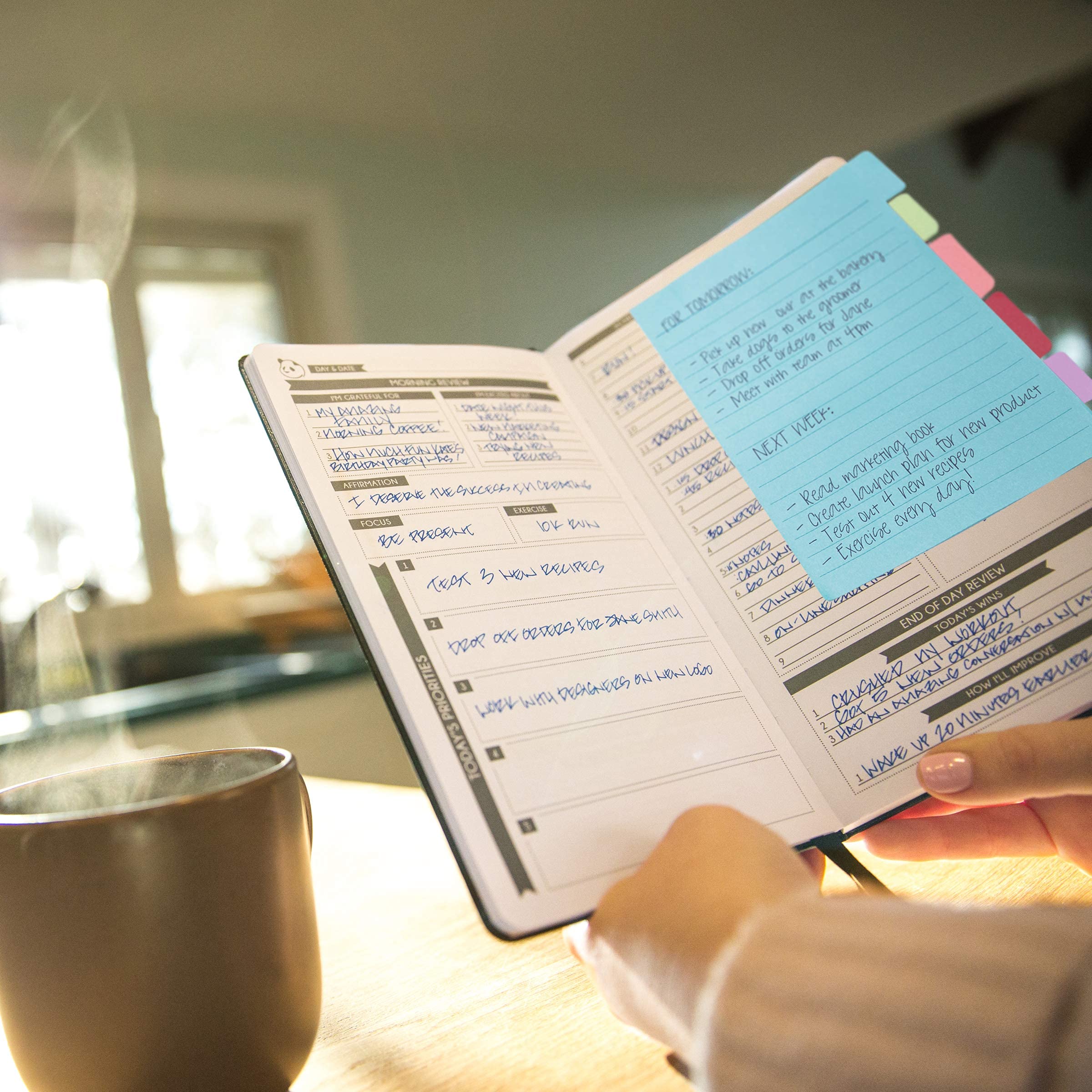 Cyan Pro Undated 6-Month Daily Planner with Spring Sticky Notes - Productivity Planner & Organizer for Work, School & Personal Goals | Panda Planner