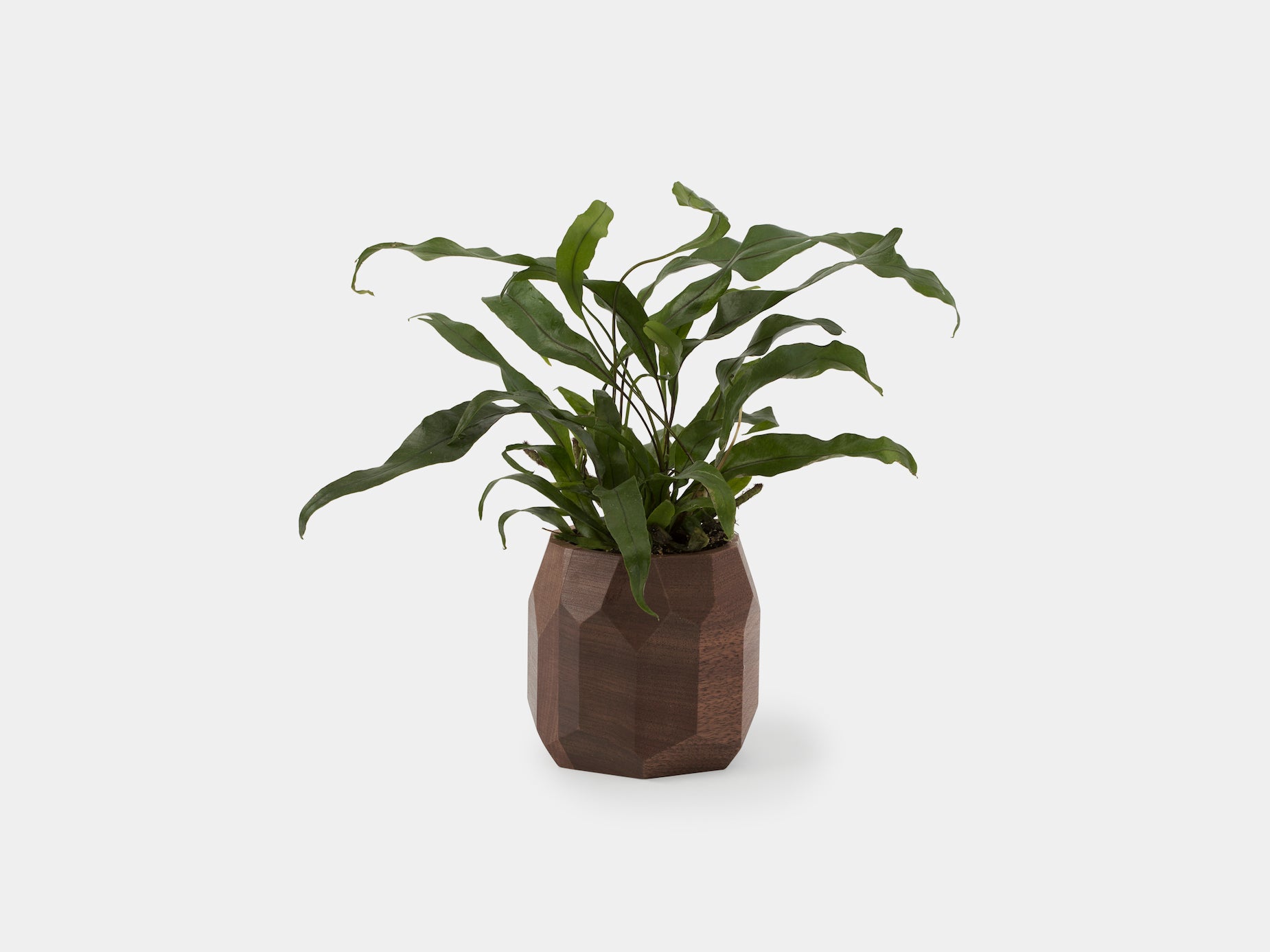 Geometric Ceramic Plant Pot - Modern Home Decor for Succulents, Flowers & Indoor Plants | Perfect for Living Room, Office & Garden Decor