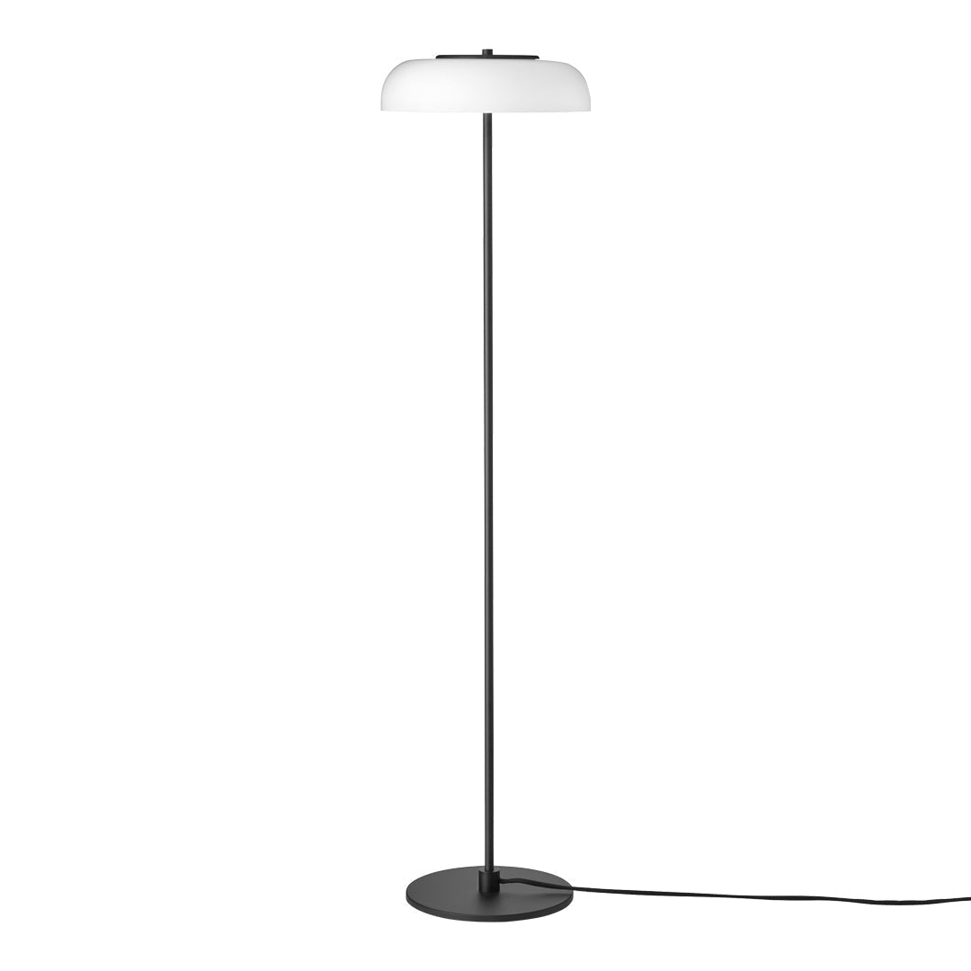 Blossi Modern LED Floor Lamp with Remote Control - Adjustable Brightness & Color Temperature for Living Room, Bedroom, or Office Lighting