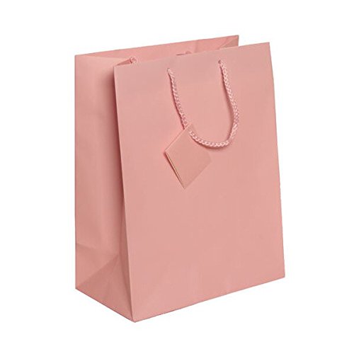 JAM PAPER Premium Pink Matte Gift Bags with Rope Handles - 10