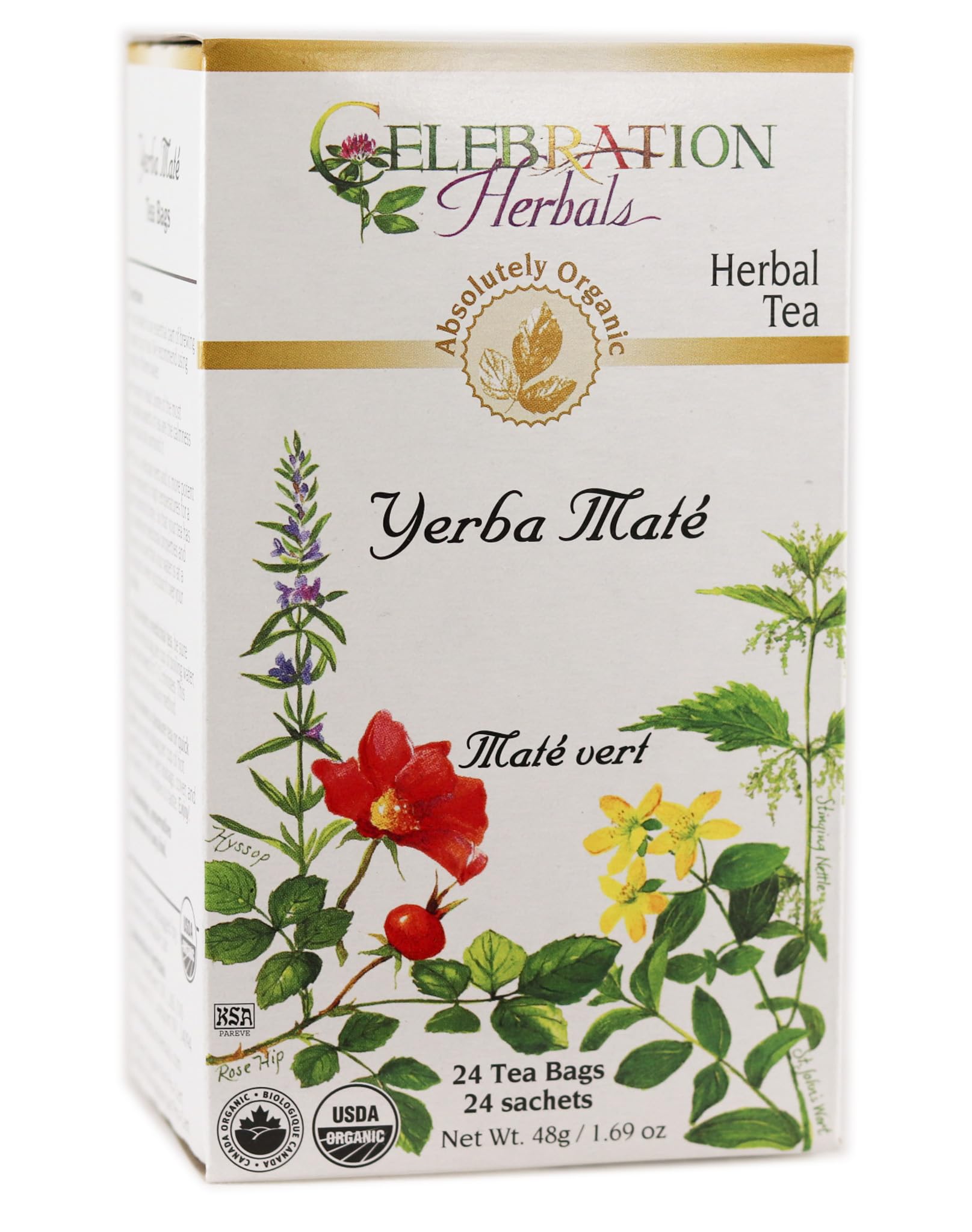 Organic Yerba Mate Tea - 24 Tea Bags | Natural Energy Boost, Rich in Antioxidants | Perfect for Morning Focus, Workout Recovery & Relaxation