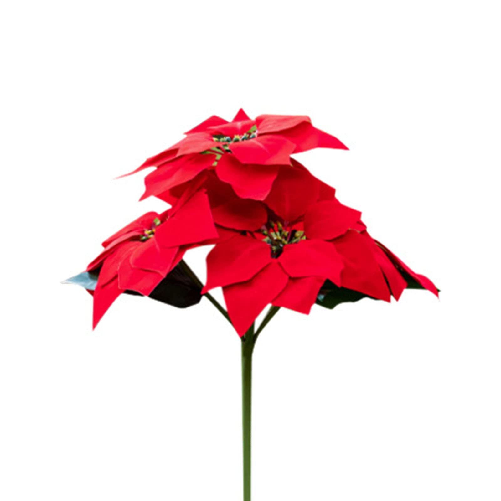Solar Powered Outdoor Flower Lights - 2 Pack Waterproof LED Poinsettia & Rose Stake Lights for Garden, Yard, Patio, Pathway Decor | Christmas Holiday Decoration | Perfect for Landscape Lighting, Wedding Decor, and Festive Ambiance