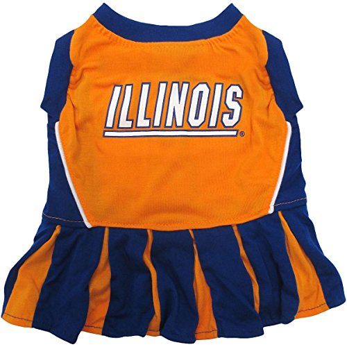 Illinois Fighting Illini