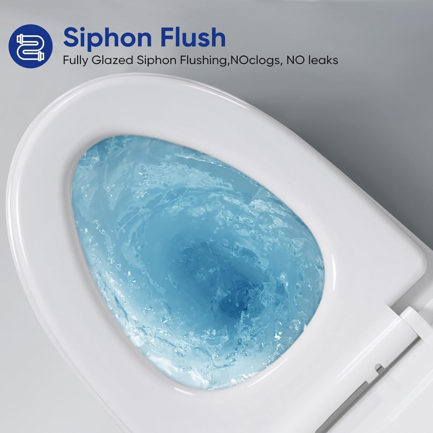 1.6 GPF Elongated Dual Flush Toilet with Soft Close Seat - 15.5