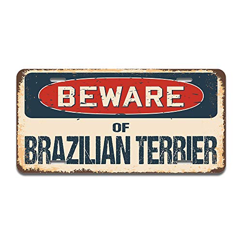 Beware of Brazilian Terrier
