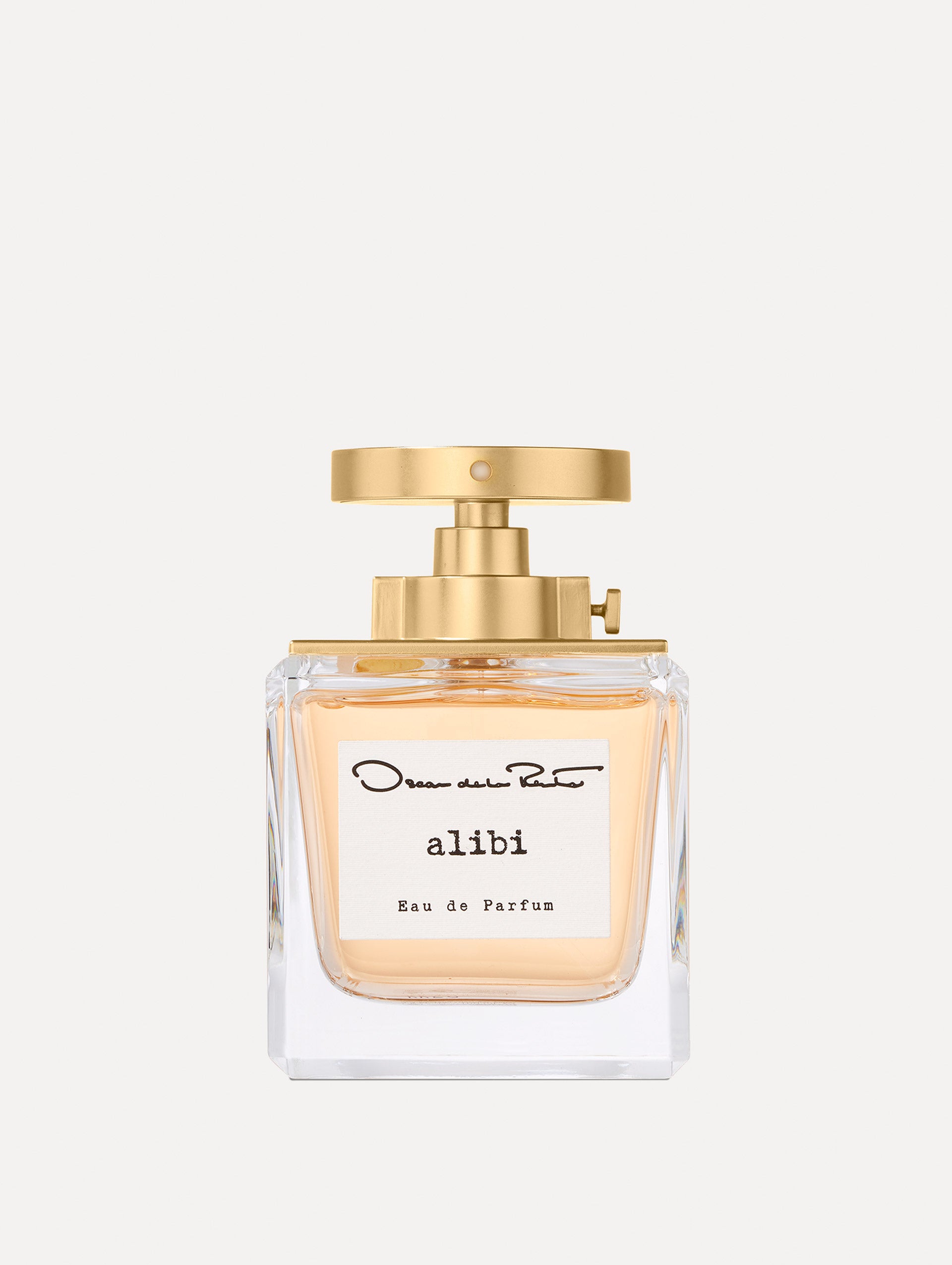 ALIBI EDP Perfume for Women - 3.4 Oz Floral Fruity Fragrance | Long Lasting Luxury Eau De Parfum | Perfect for Date Night, Office & Special Occasions