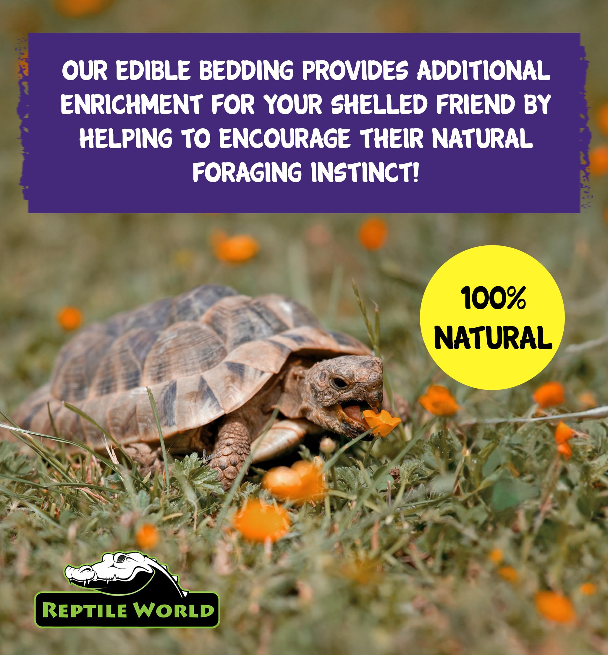 Premium 10L Reptile Tortoise Edible Bedding - Natural Readi Grass, Flowers & Leaves for Healthy Digestion | Safe Botanical Substrate for Terrariums, Habitats & Pet Enclosures