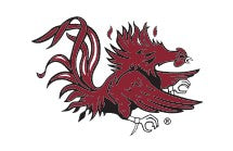 South Carolina Gamecocks Collegiate Stretch Twill Pants in Khaki - Comfortable & Stylish for Game Day, Tailgating & School Spirit Events