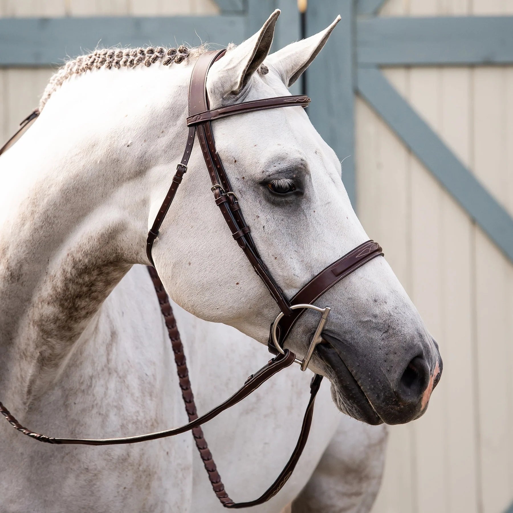 Dy'on Wide Nose Anatomic Hunter Bridle - Comfortable Equestrian Bridle for Horses with Wide Noses | Perfect for Show Jumping, Dressage & Trail Riding