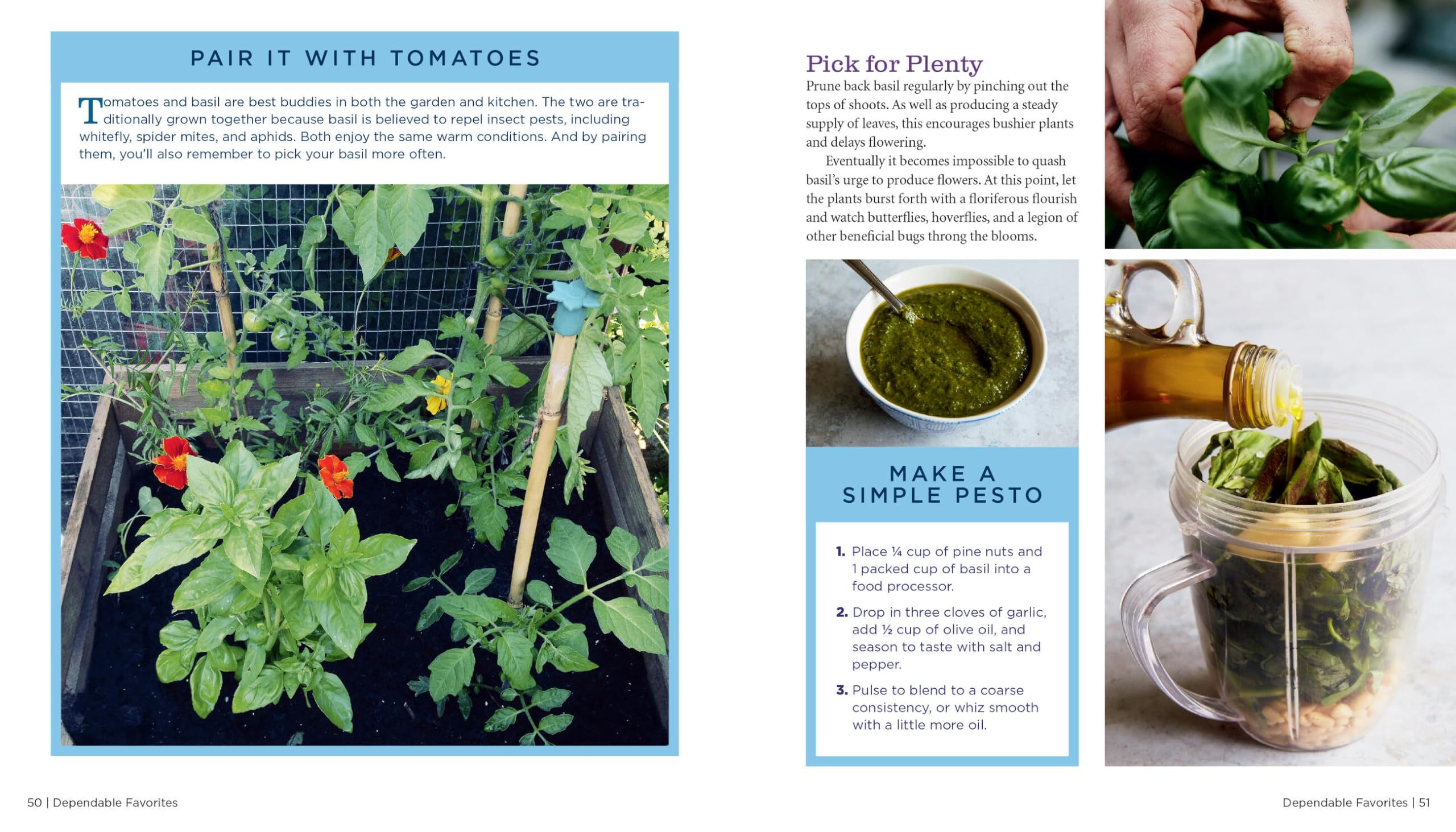 GrowVeg: The Complete Beginner's Guide to Easy Vegetable Gardening at Home - Perfect for Backyard, Container & Urban Gardening