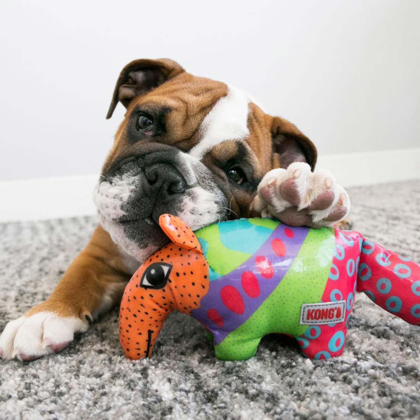 KONG Shieldz Anteater - Durable Pet Toy for Dogs, Chew-Resistant & Interactive Play - Perfect for Aggressive Chewers, Boredom Relief & Training Sessions