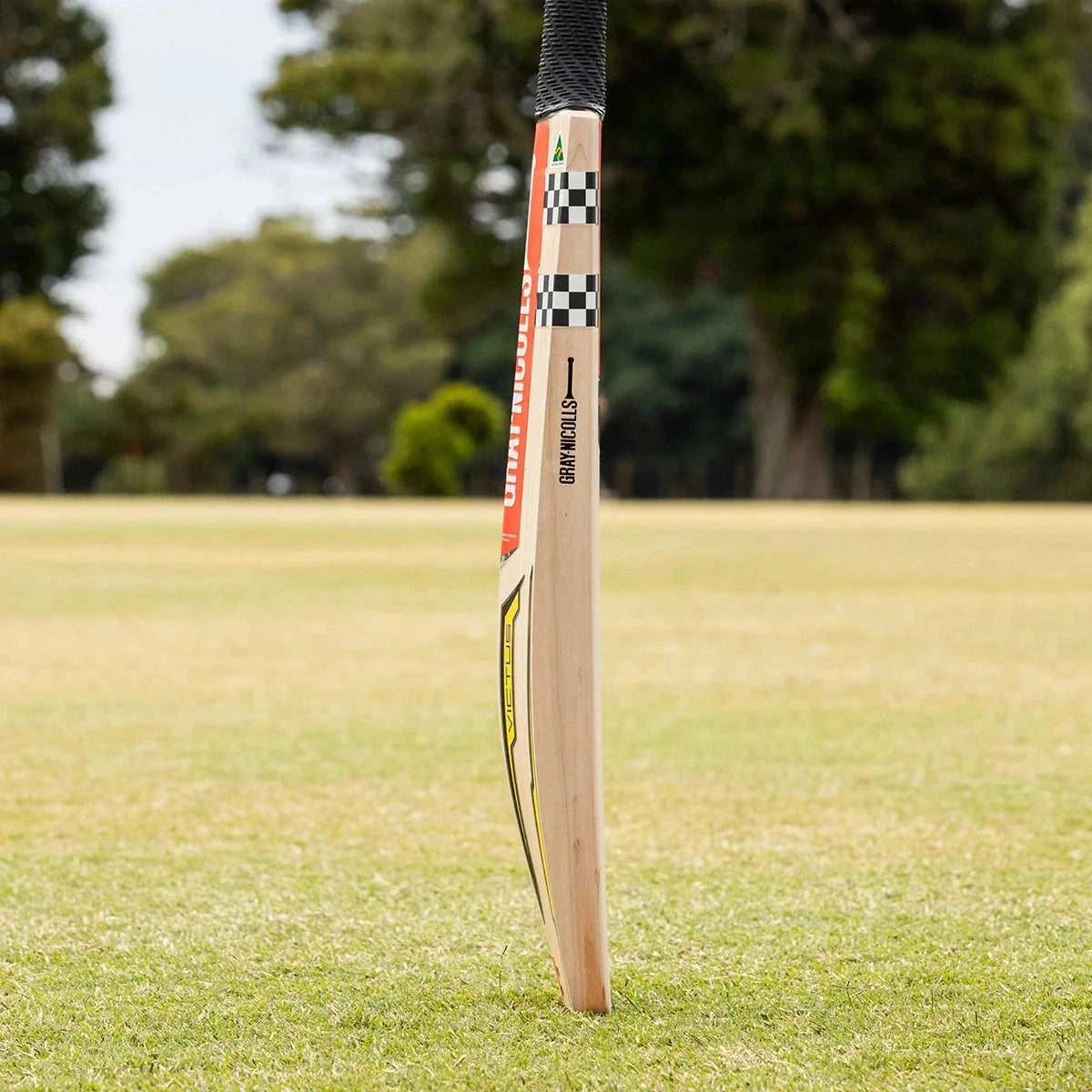 Gray Nicolls Victus Players Edition Adult Cricket Bat - Premium English Willow for Professional & Amateur Players - Perfect for Matches, Training & Practice Sessions