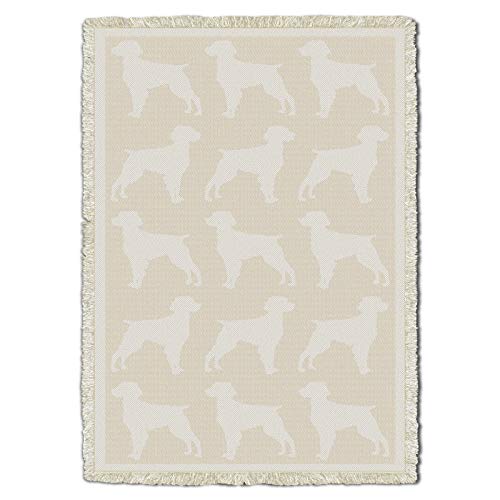 Brittany Spaniel
