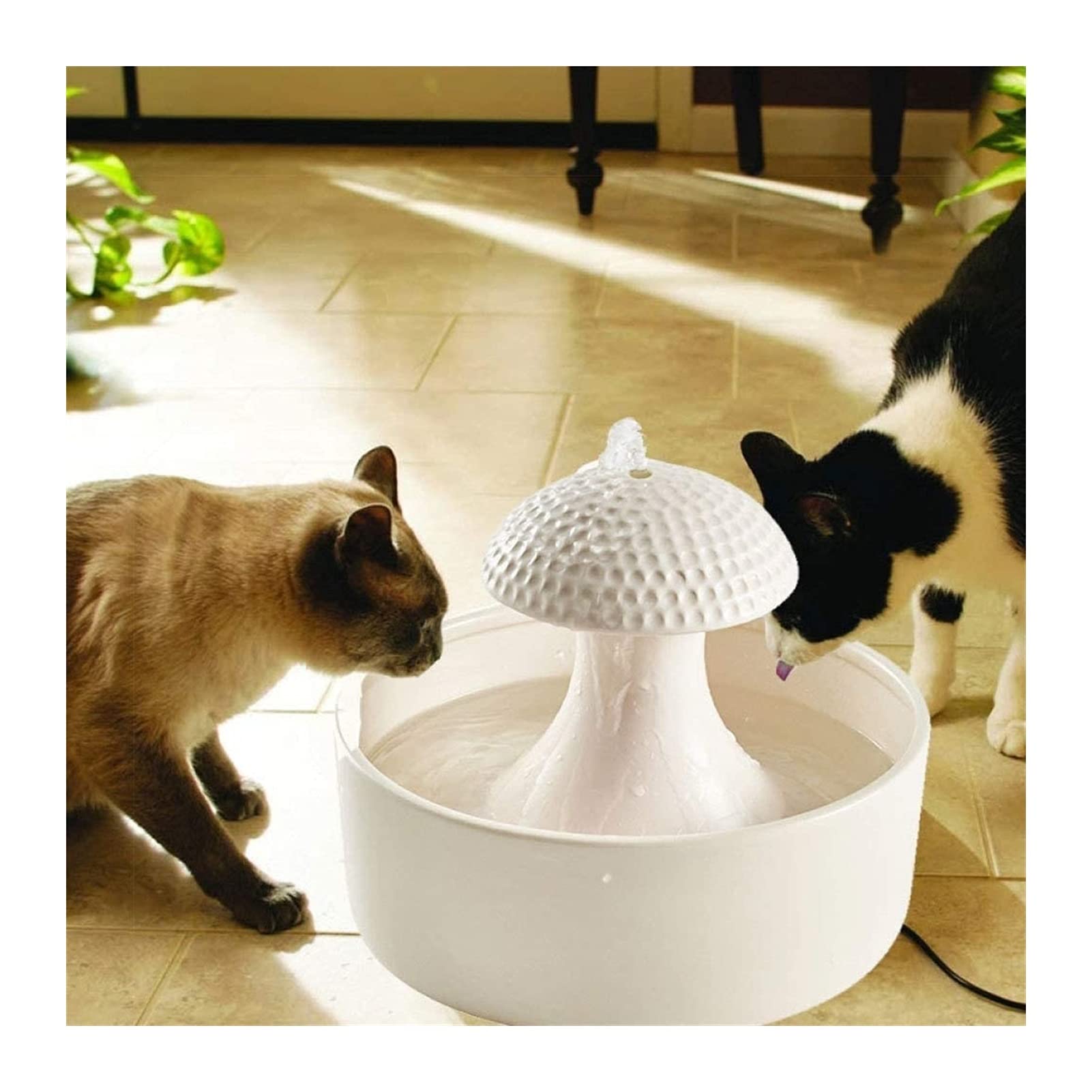 Raised Cat Bowls for Food and Water - Elevated Pet Feeder for Cats and Small Dogs - Perfect for Healthy Posture and Comfortable Dining at Home
