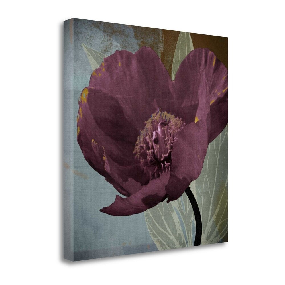 Blooming Jewels By Robert Lacie - Premium Fine Art Giclee Print on Gallery Wrapped Canvas - Museum Quality Wall Art Decor - Ready to Hang for Living Room, Bedroom, Office & Home Decor